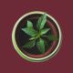 plant_hero1.jpg plant_hero1.jpg